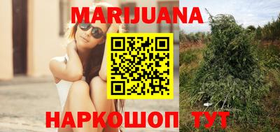 МДПВ Новокубанск